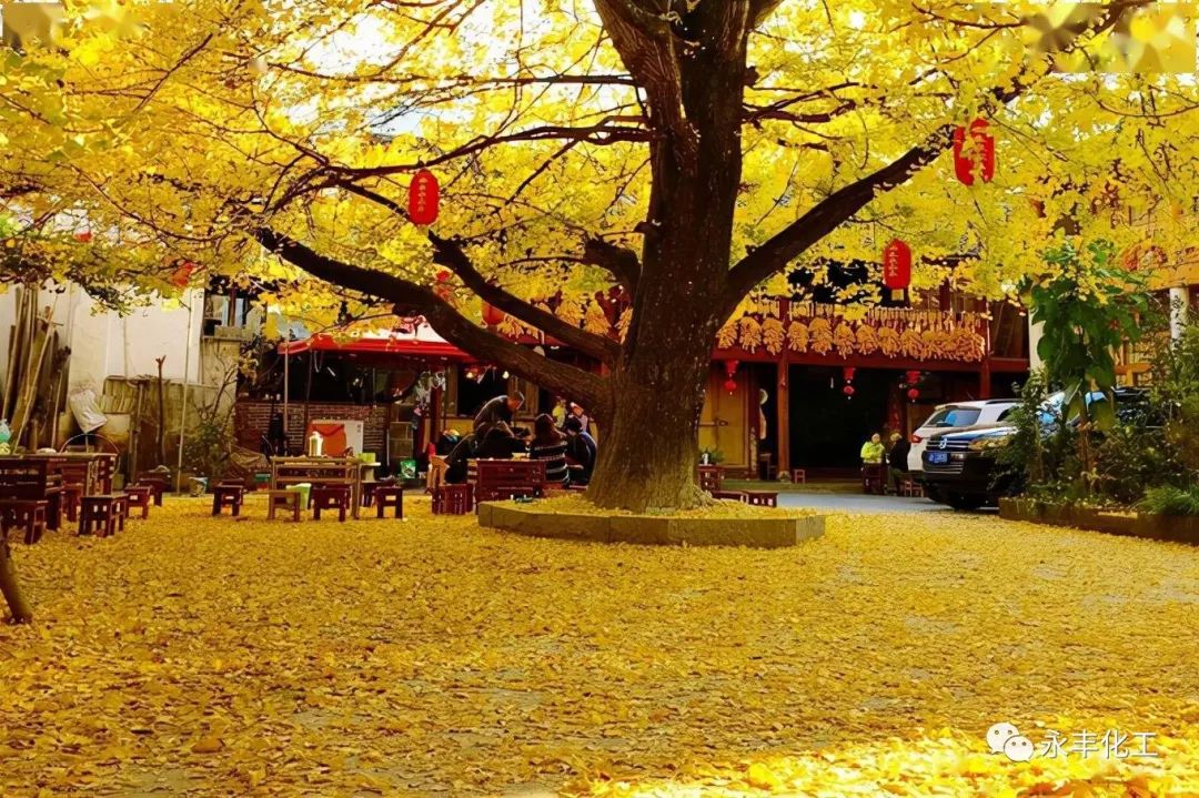 七彩云南，邂逅浪漫